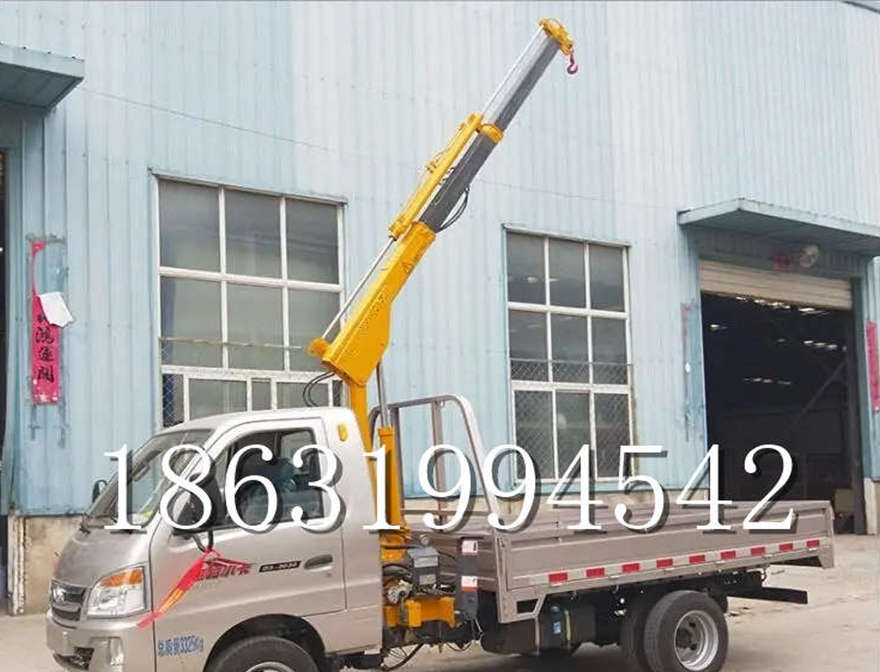 札达县车载吊机加装随车吊小型车载吊机遥控升降机小型室内吊机电动葫芦